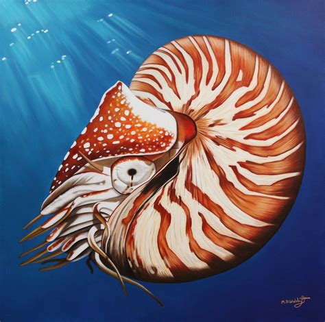 Creative Marine Life Drawing Ideas to Inspire Your Art .